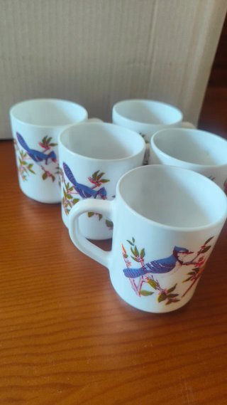 Tazas Arcopal con pájaros y flores