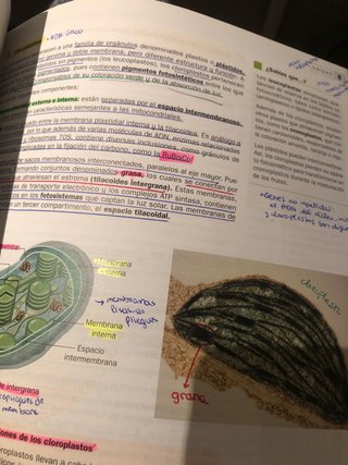 Biología 2BACH McGrawHill