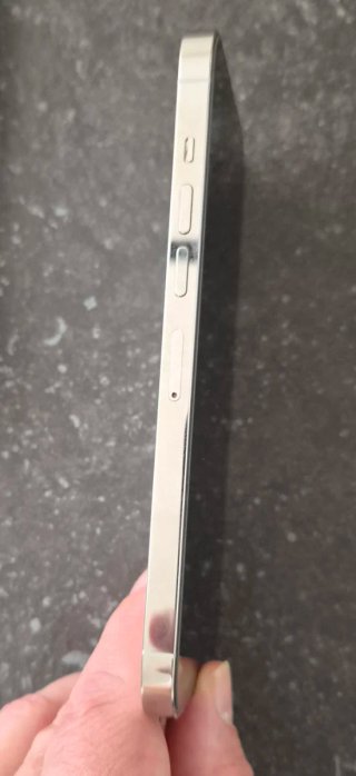 iPhone 13 Pro Max Blanco/Plata