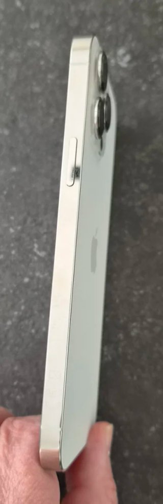 iPhone 13 Pro Max Blanco/Plata