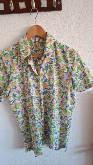 Lote 4 Camisas Beige/Verde