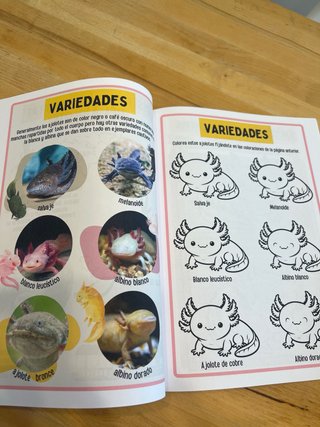 Libro de actividades para niños sobre el ajolote