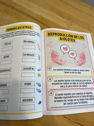 Libro de actividades para niños sobre el ajolote