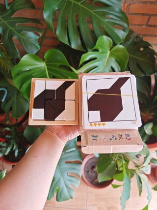 Bloques Ocultables Hiding Blocks Juego Educativo