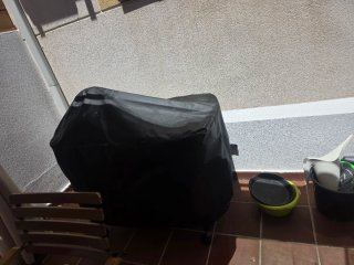 Barbacoa Weber Performer Deluxe GBS 57
