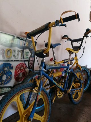 Bicicletas GAC Akimoto y BH California