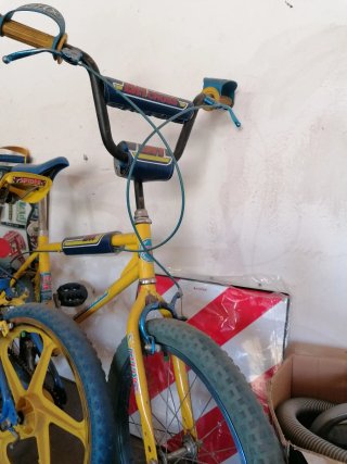 Bicicletas GAC Akimoto y BH California