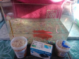 Acuario+ accesorios