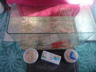 Acuario+ accesorios