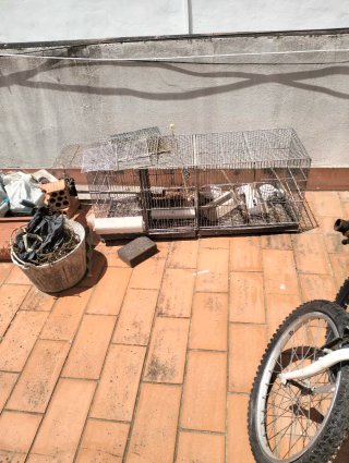 Gabbie per uccelli da 60 cm e 1 metro