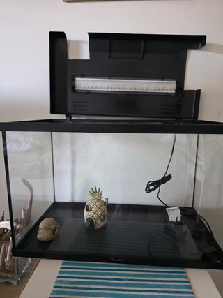 Acuario 55L con accesorios