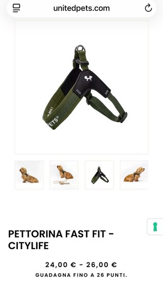 Pettorina Y United Pets 2-3kg