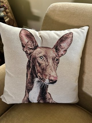 Cuscini decorativi con cani