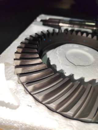 Piñon y Corona Dana 44 Trasero 4.88 Jeep wrangler