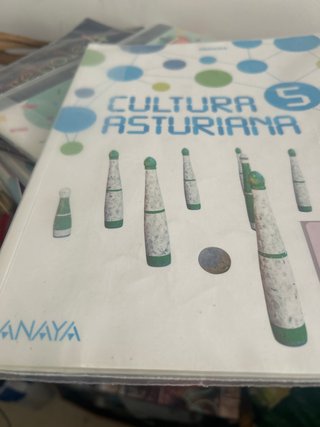 Libros de cuarto y quinto de primaria