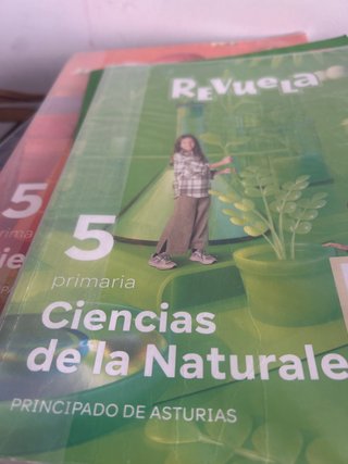 Libros de cuarto y quinto de primaria