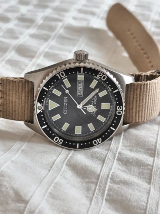Citizen Promaster Reloj Automático