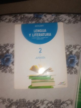 Lengua y literatura, Bachillerato 2