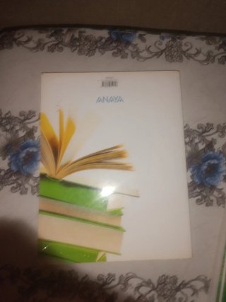 Lengua y literatura, Bachillerato 2