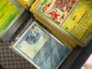 Lote Cartas Pokémon TCG
