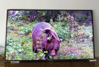 Smart TV Samsung UE46D7000LS 46