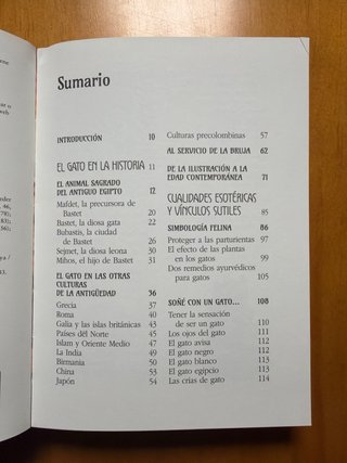 Los gatos y el más allá: Compañeros mágicos y p...