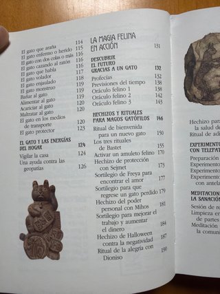 Los gatos y el más allá: Compañeros mágicos y p...