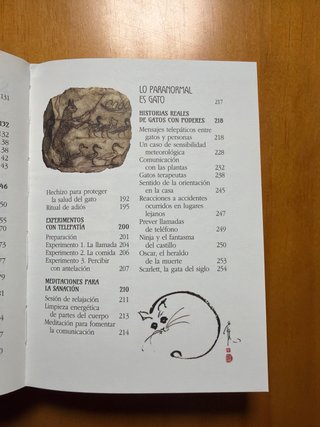 Los gatos y el más allá: Compañeros mágicos y p...