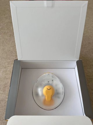Sacaleches Medela Magic InBra