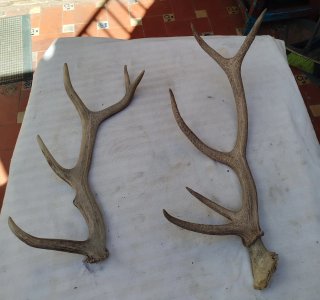 Artículos de decoración