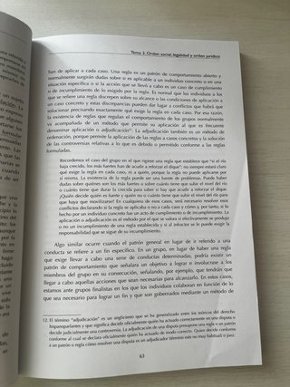 Teoría del derecho temas y casos prácticos