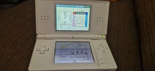 Nintendo DS Lite Blanca + Cargador