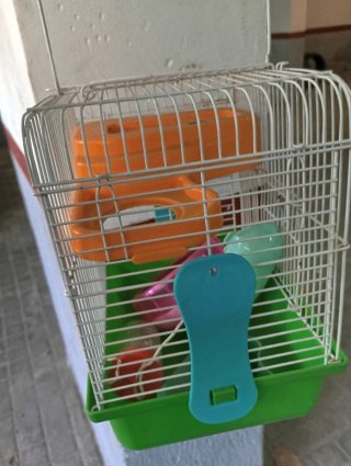 Jaula para hámster con accesorios