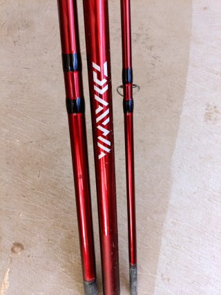 Caña Surfcasting Daiwa SWEEPER