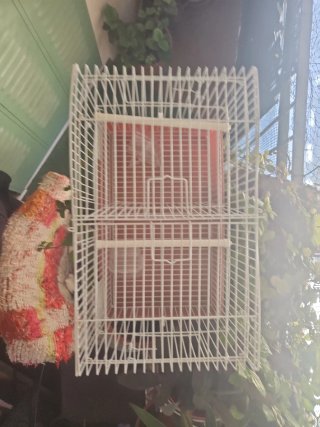 Gabbia per uccelli