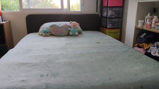 Muebles de salón y cama matrimonial