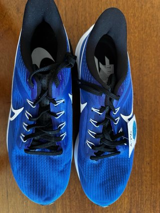 Zapatos Nike Air Zoom Pegasus 39 Talla 43