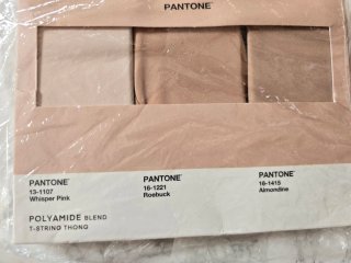 6 Tangas S Oysho Beige/Marrón