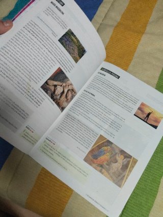 Religión Católica 1 ESO Fanfest