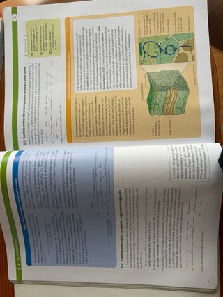 Biologia, 2 Batxillerat, Projecte Construint mons