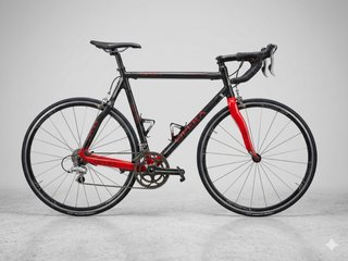 Bicicleta Opera Leonardo talla xl