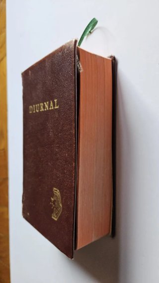 Diurnal 1993
