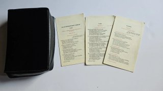 Diurnal 1993