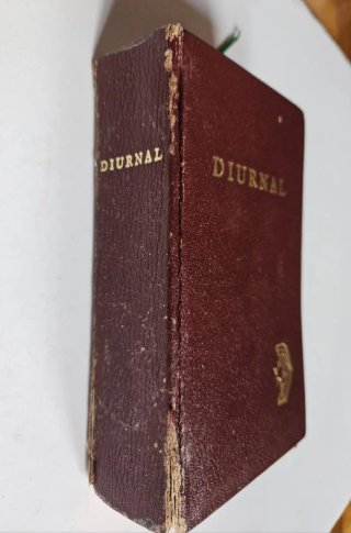 Diurnal 1993