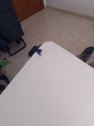 Llengua catalana i literatura, 2 ESO, Projecte ...