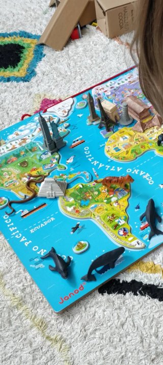 Mapa Mundi Magnético Janod