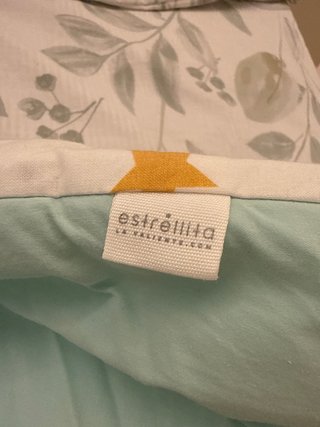 Nórdico de Estrellita valiente.