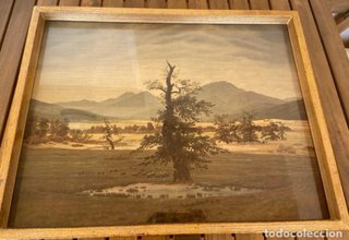 Cuadro paisaje montañoso