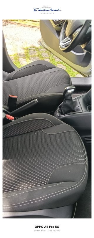 Peugeot Plata