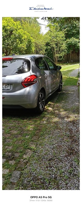 Peugeot Plata
